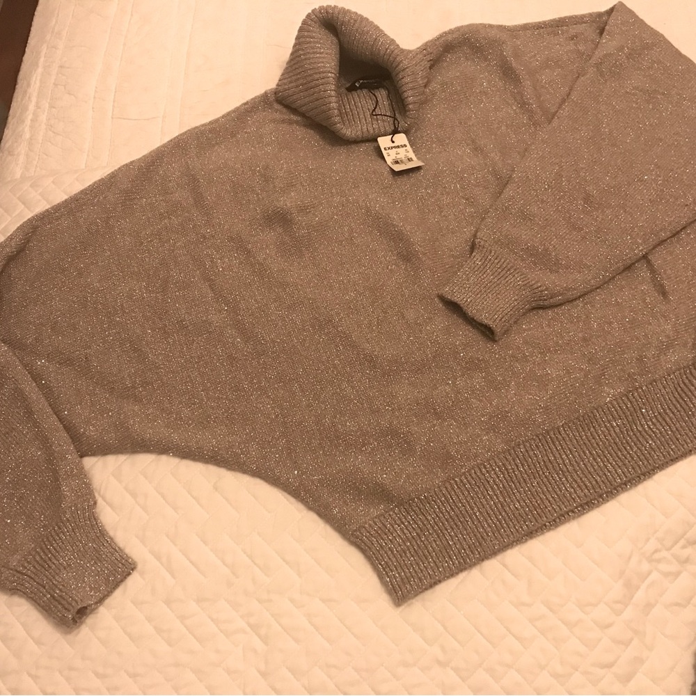 NWT Express Metallic Gold Batwing Turtleneck Sweater - Picture 4 of 5